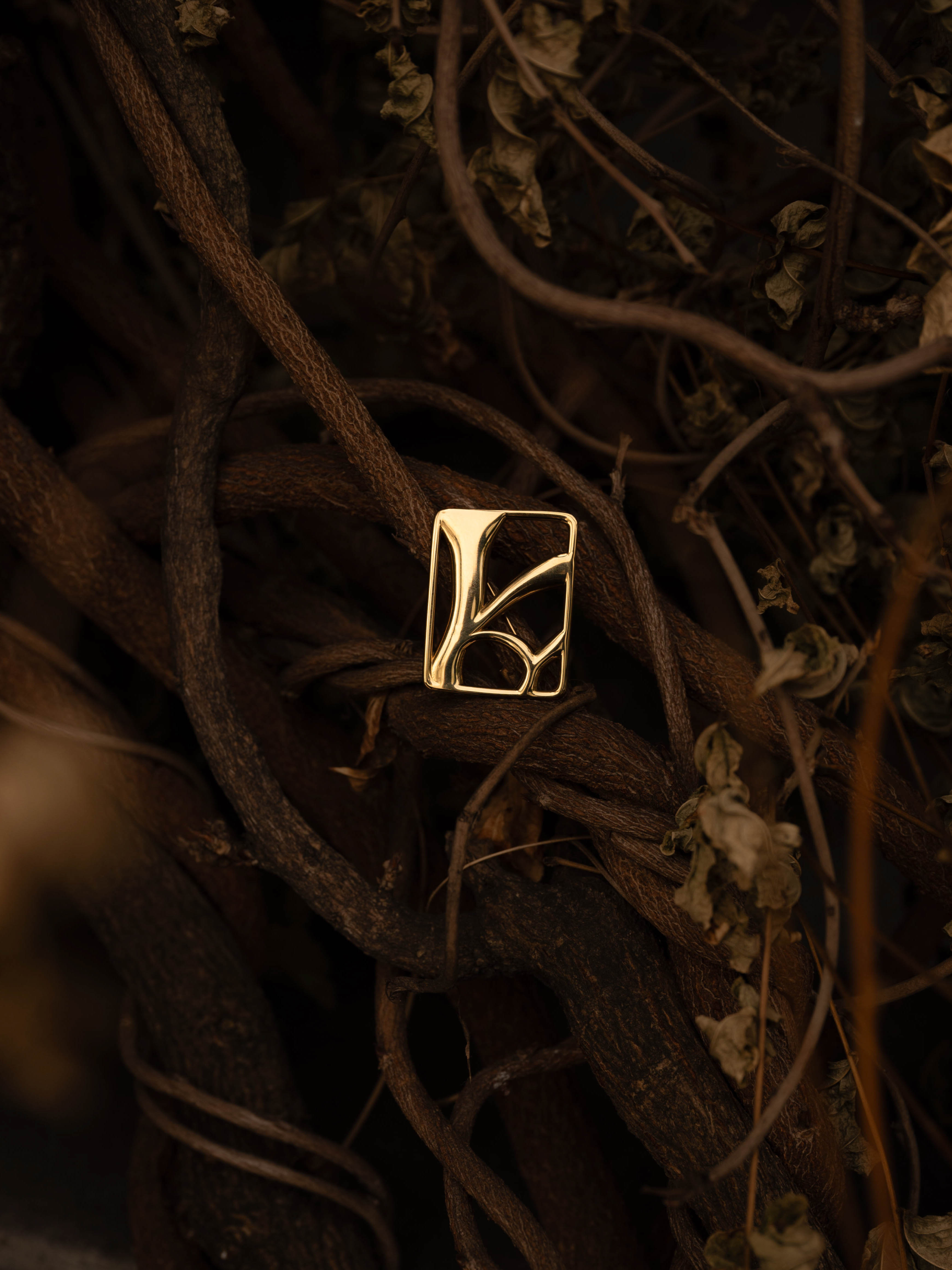 Monogram Brooch